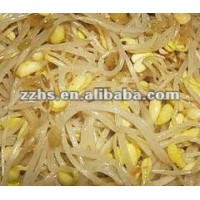 Canned Bean Sprout For Nice Recipes