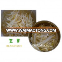 Canned bean sprout with low pricing