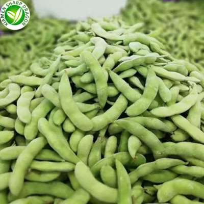 Wholesale high quality IQF frozen green edamame soy bean