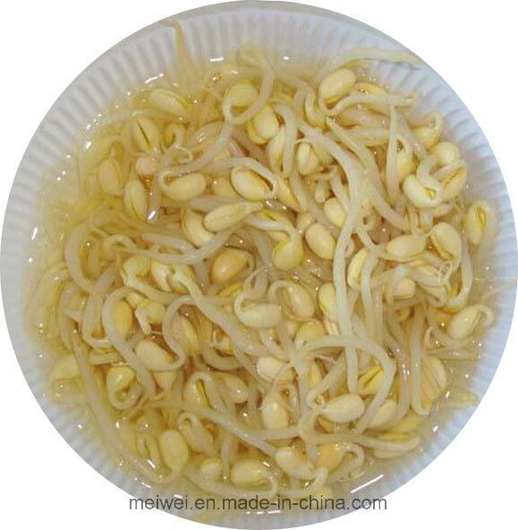 Mung Bean Sprout Canned Soy Beans Sprout